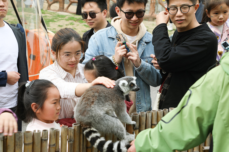 南通森林野生動物園清明客流攀升 萌獸首秀添春趣?
