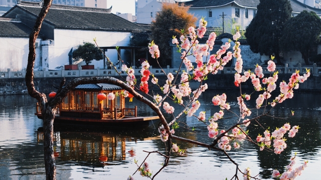 黛瓦鎖春秋，曲廊浮云影 春日水繪園：賞春好去處