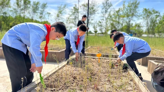 探秘科技農(nóng)業(yè) 爭做小小“綠領(lǐng)”| 海門實小師生走進常樂鎮(zhèn)農(nóng)業(yè)科技園