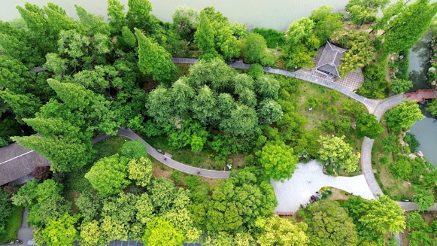 視頻 | 水清岸綠好生態！航拍濠東綠苑初夏美景