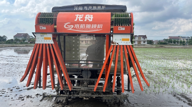 “天女散花”變“精準跳水” | 海安：有序拋秧機1小時插秧超8畝
