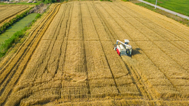 啟東市全面推進農業機械現代化，3000多臺（套）農機助力糧豆油作物豐收